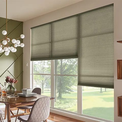 Living room with green custom shades